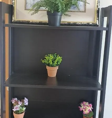 Stefaris Properties *